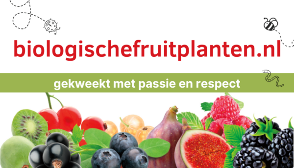 Logo Dijkwels Fruit